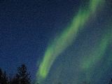 IMG_2918.JPG