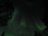 IMG_7085.JPG