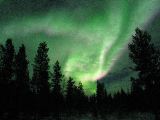 IMG_7171.JPG