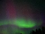 IMG_2075.JPG
